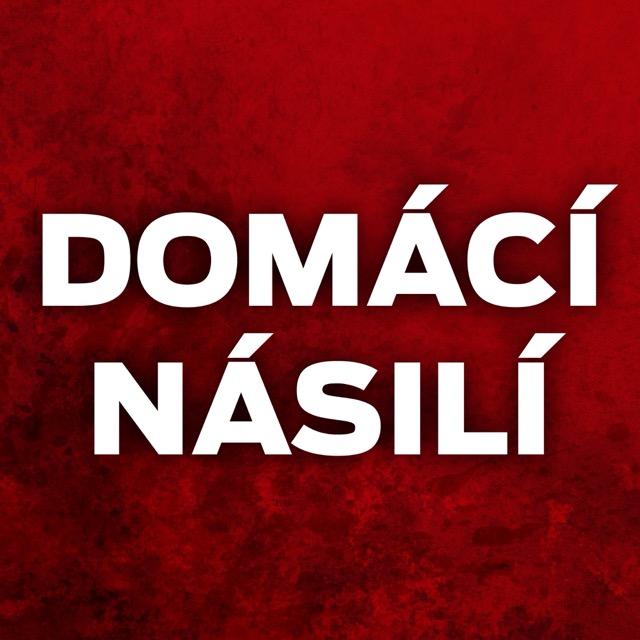 DOMÁCÍ NÁSILÍ